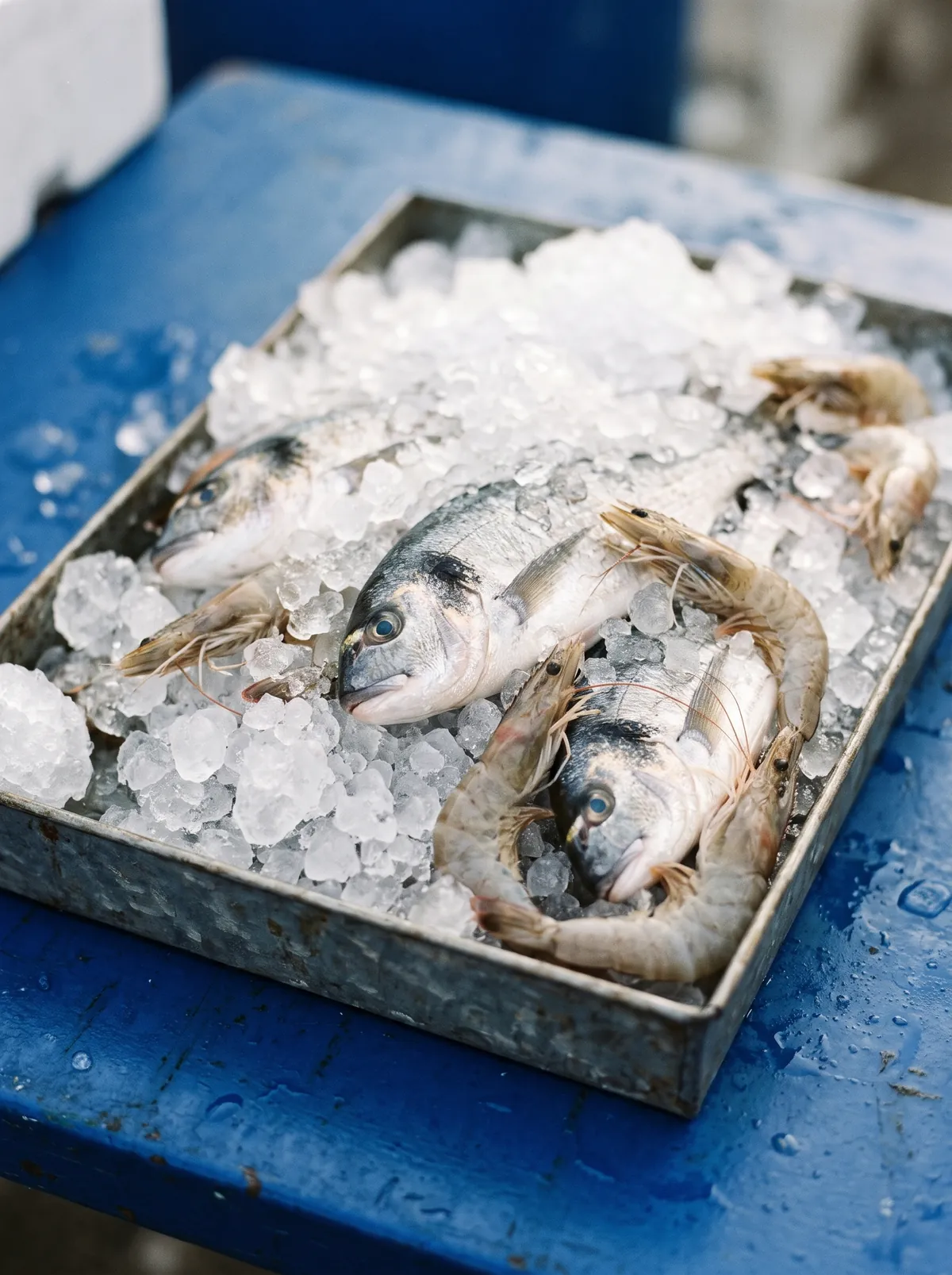 Fresh fish and prawns on crushed ice